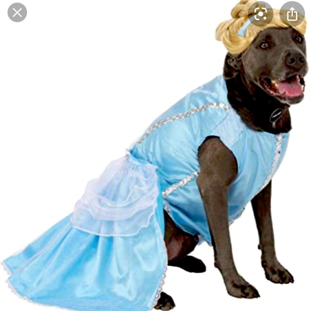 Disney Cinderella dog costume dress with wig